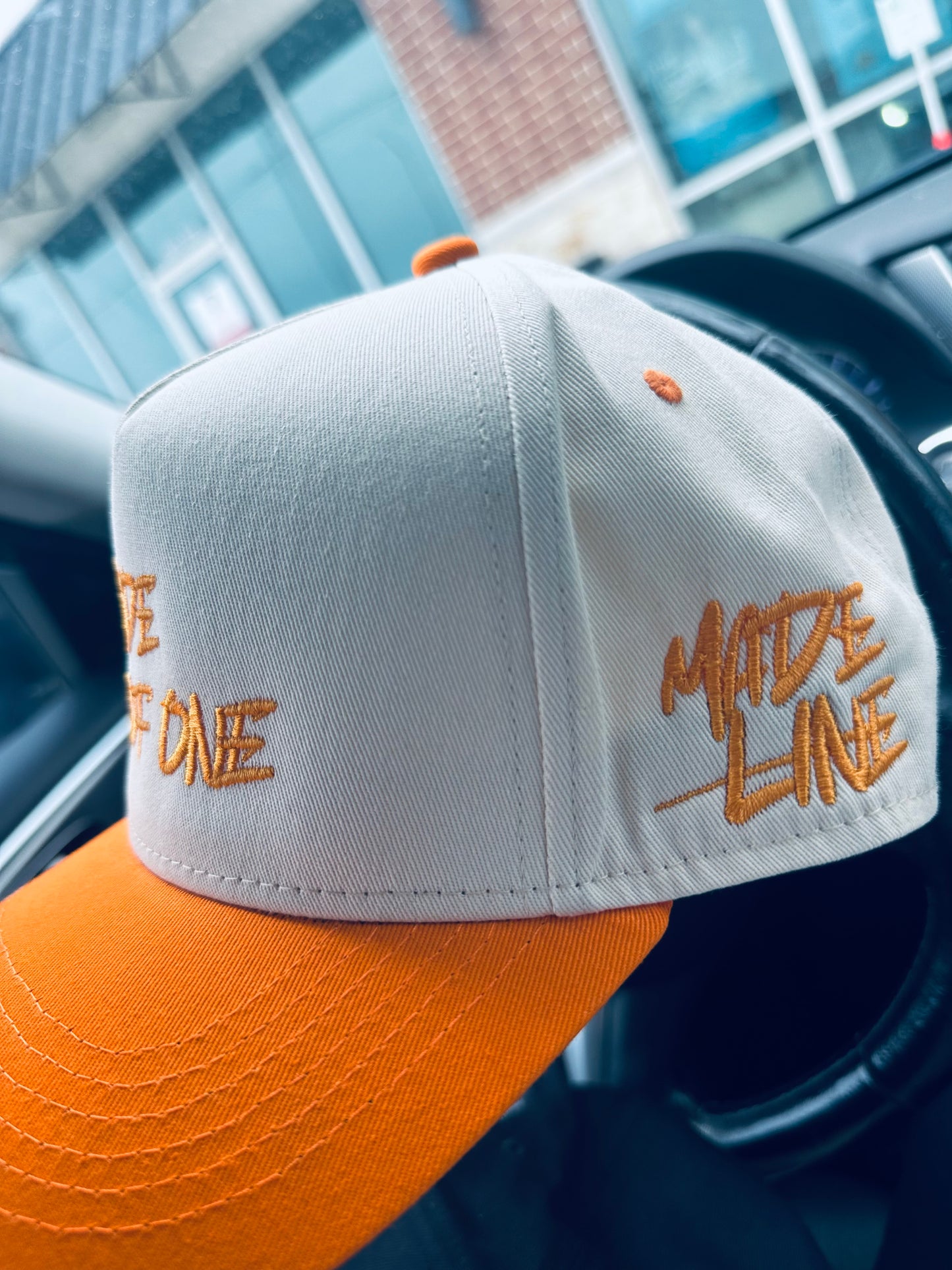 1 OF 1 SNAPBACK