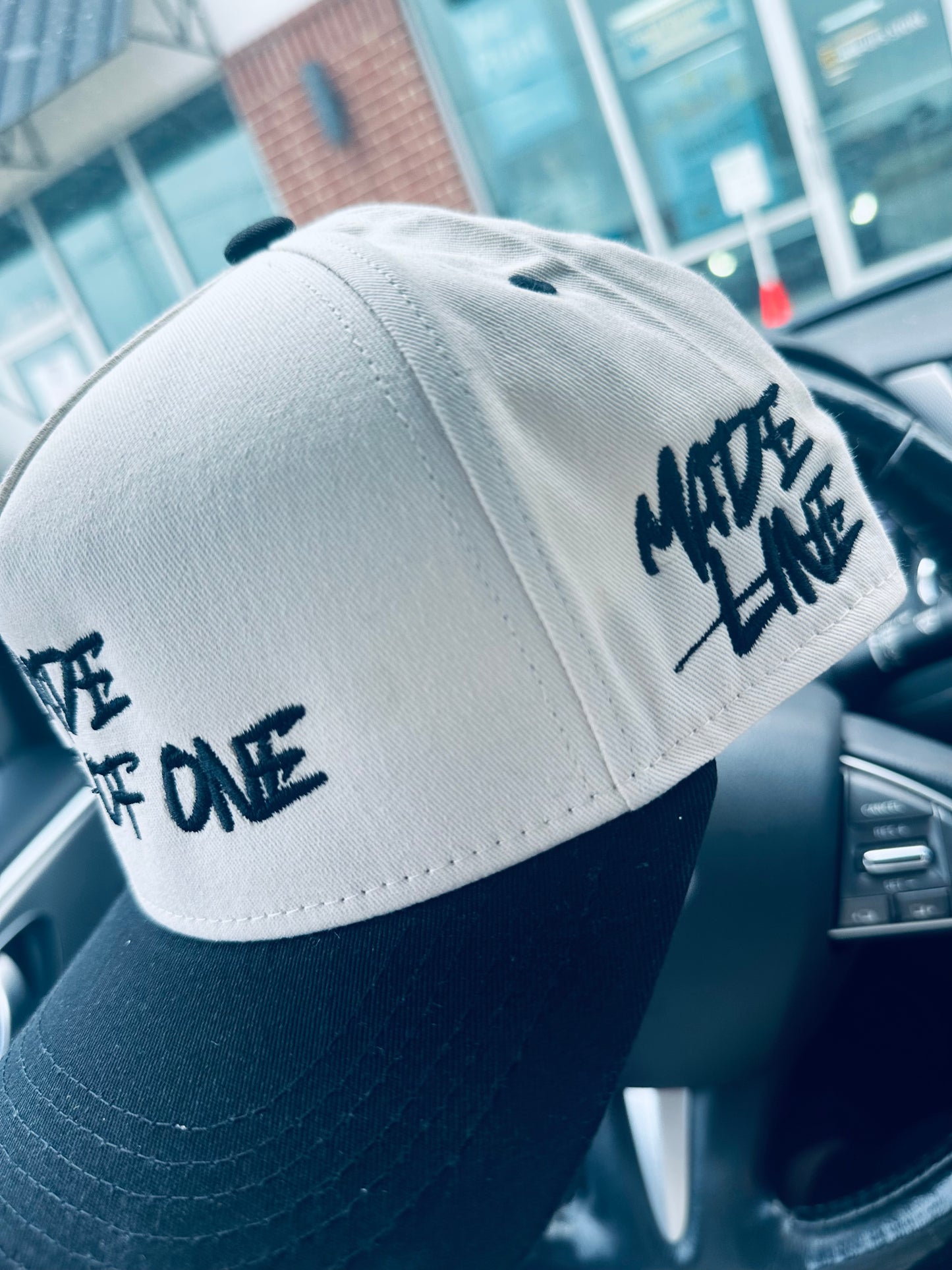 1 OF 1 SNAPBACK